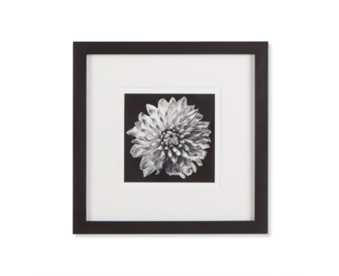 Black Blossom - C